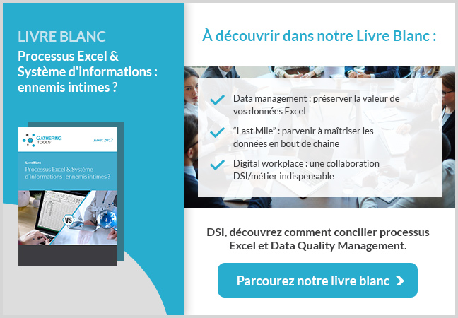 Livre Blanc Excel versus Système d'information