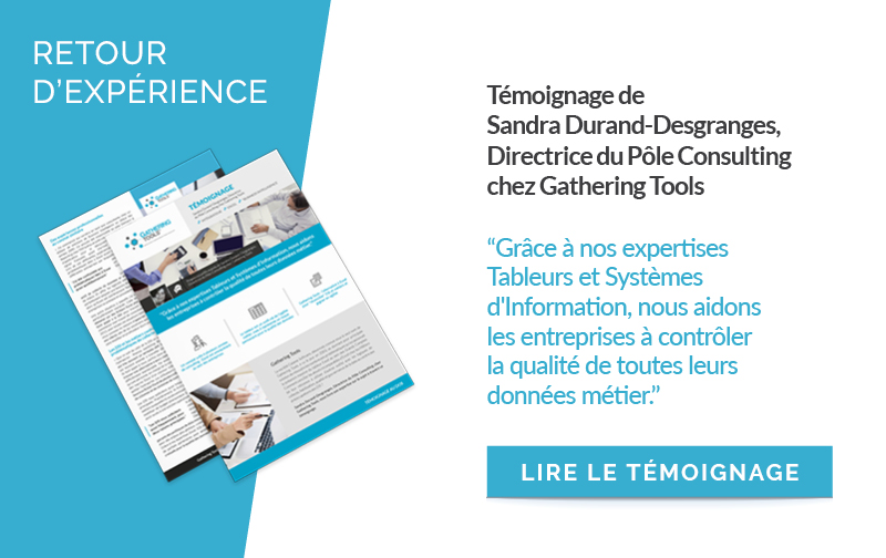 Témoignage agilité DSI excel