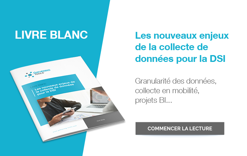 Livre blanc DSI collecte données