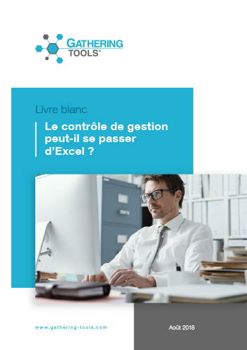 Livre Blanc Controle de Gestion