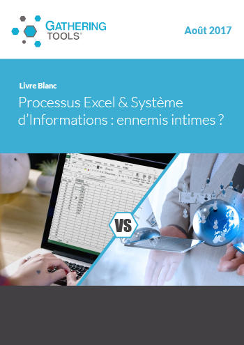 Livre Blanc processus excel