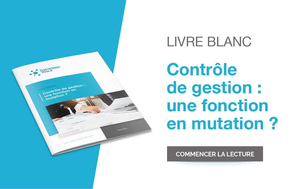 Livre blanc contrôle de gestion