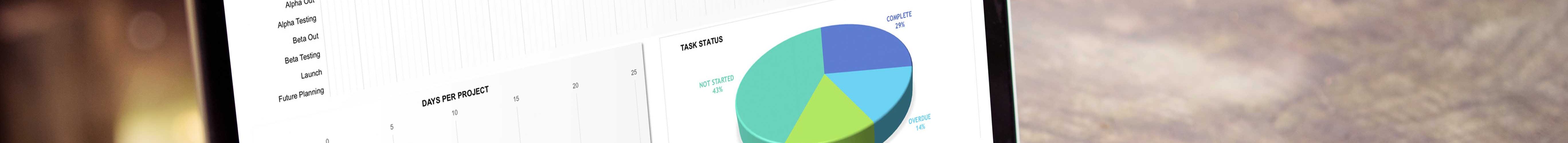 excel category management